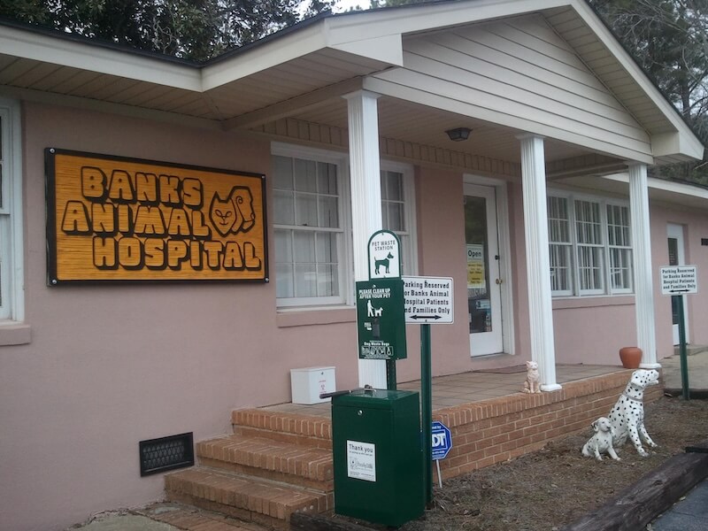 Top rated veterinarian in Columbia, SC