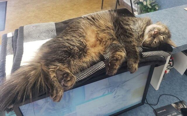 Diagnostics & Imaging