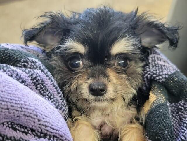 Urgent Same-Day Care